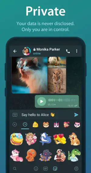 a screenshot of a video chat