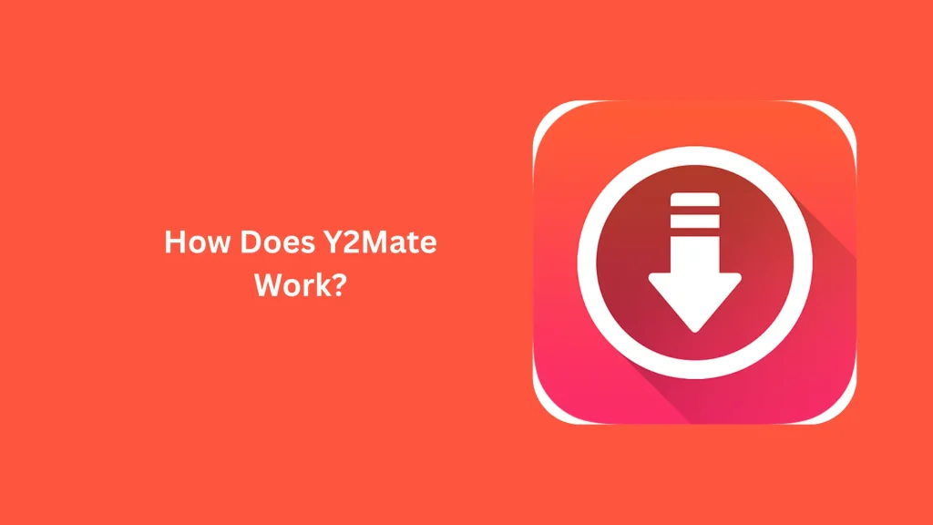 Y2Mate Review: Download YouTube Videos in MP3 & MP4 for Free 2 How Does Y2Mate Work?